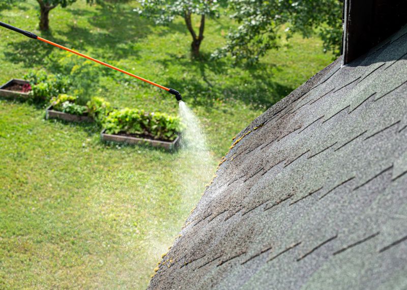 Roof Powerwashing