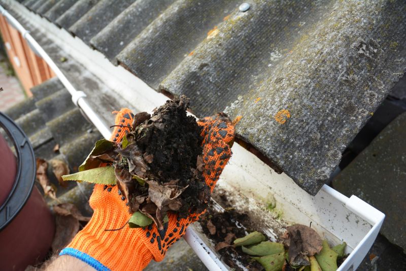 Roof Gutter Cleaning in Annapolis, MD